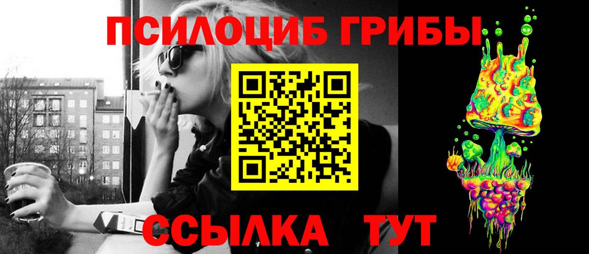 Псилоцибиновые грибы мицелий Серпухов